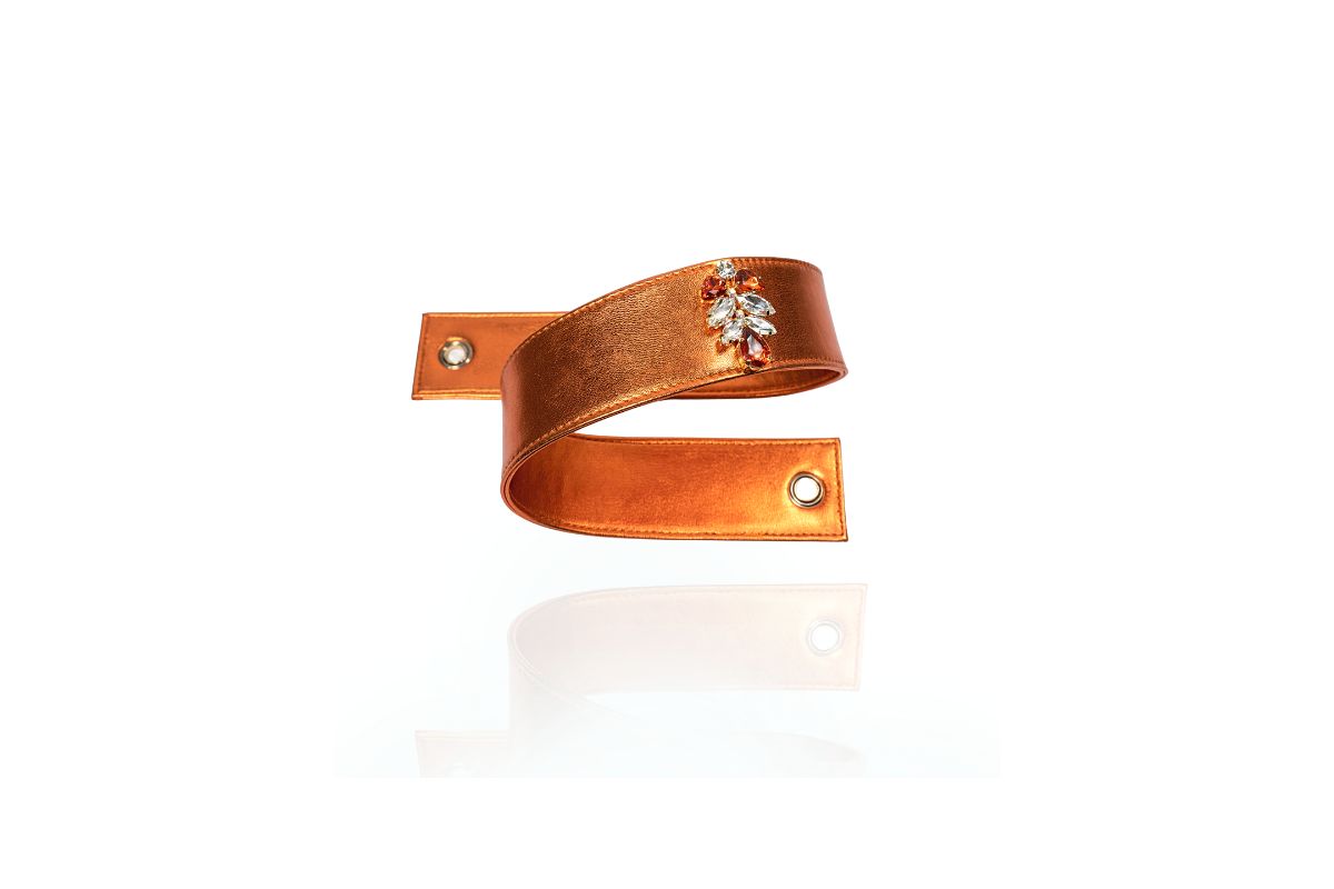 Cintura Fabritia