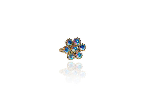 Anello Biwenys