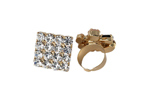 Anello Vega