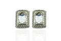 Orecchini Ketting