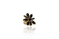 Anello Vicraera