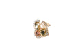 Anello Dionea