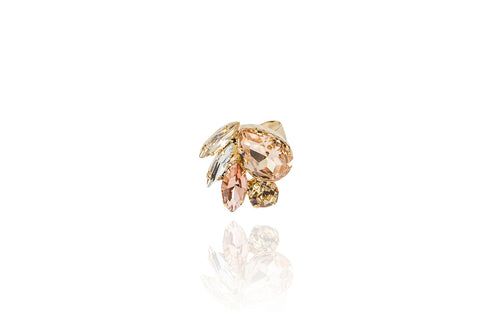Anello Strasburgo