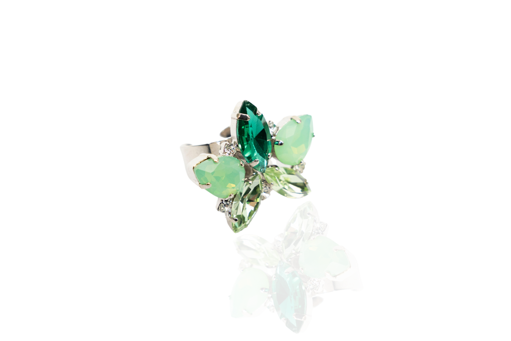 Anello Senecio