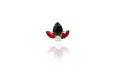 Anello Btatislava