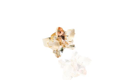 Anello Senecio