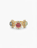 Anello lidia